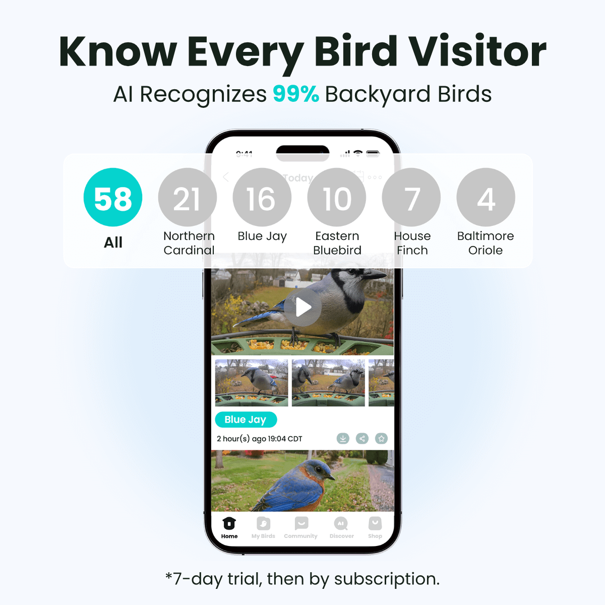 Smart Bird Feeder product image 3