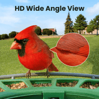 Smart Bird Feeder product image 5