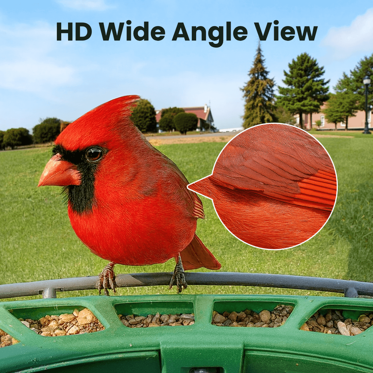 Smart Bird Feeder product image 5