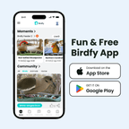 Smart Bird Feeder product image 6