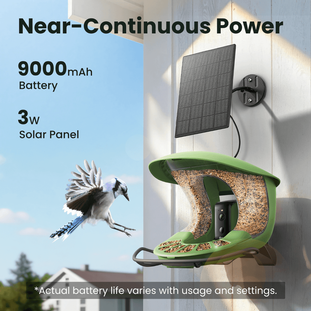 Smart Bird Feeder product image 8