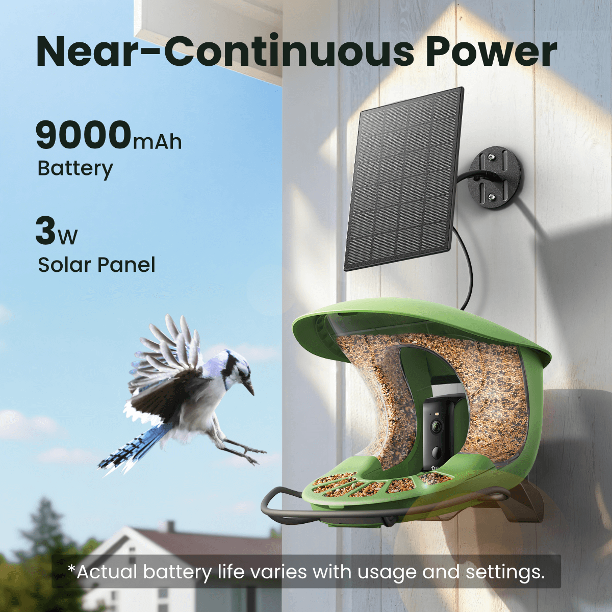 Smart Bird Feeder product image 8