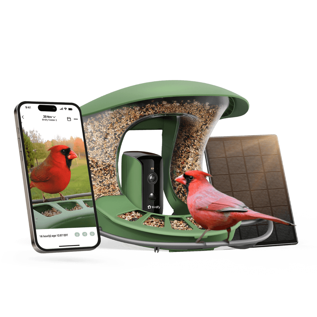 Smart Bird Feeder product image 13