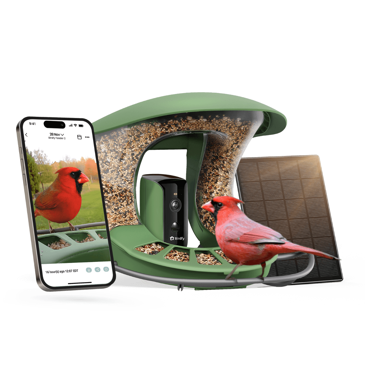Smart Bird Feeder product image 13