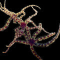 Micro Brittle Starfish product image 1