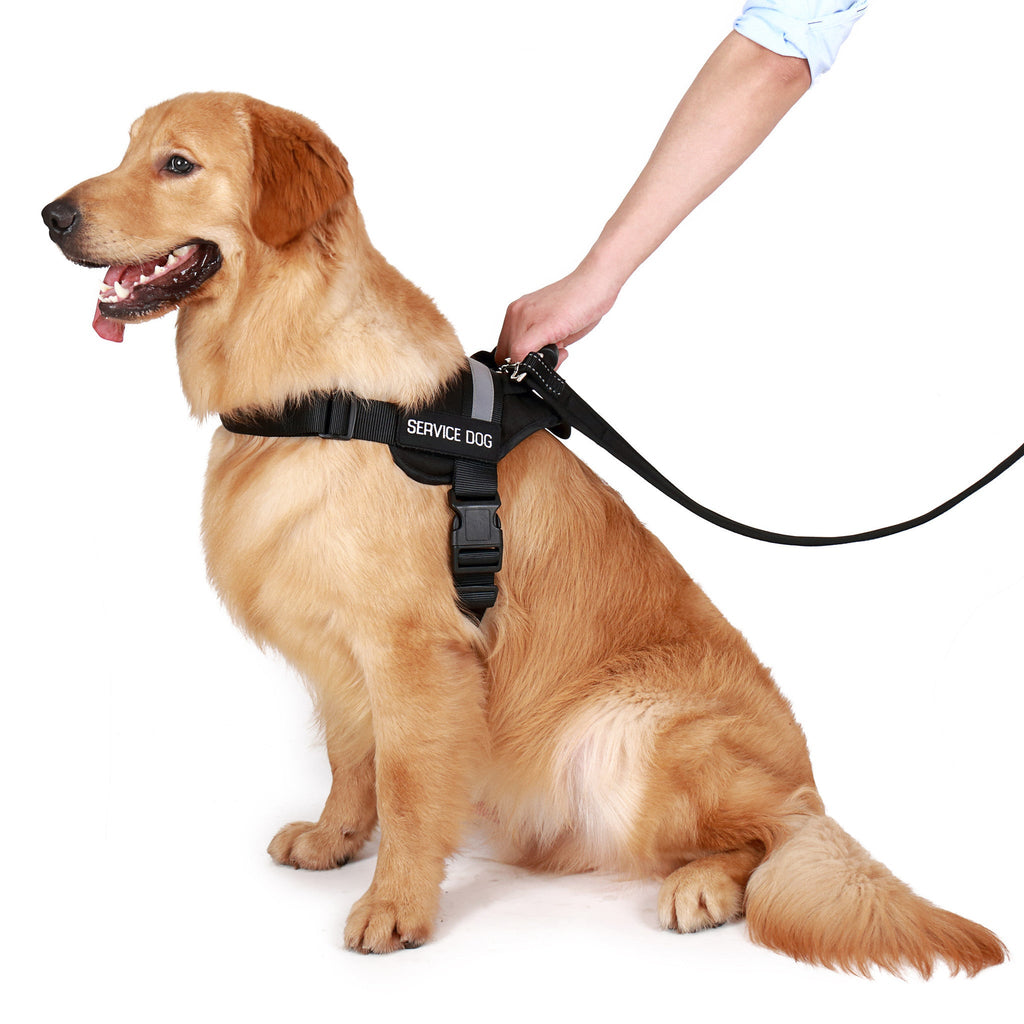 Service Dog Vest product image 1