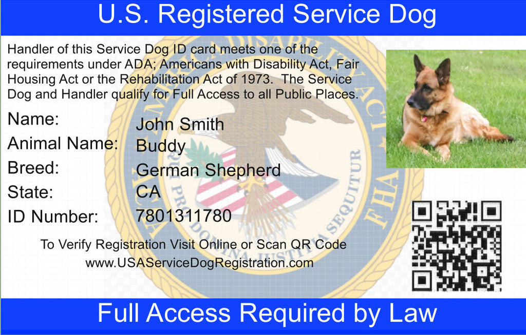 Service Dog Vest product image 3