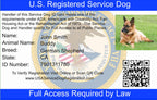Service Dog Vest product image 3