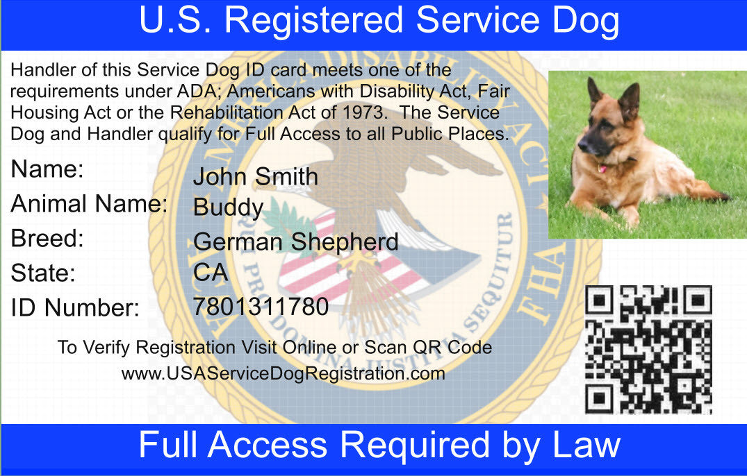 Service Dog Vest product image 3