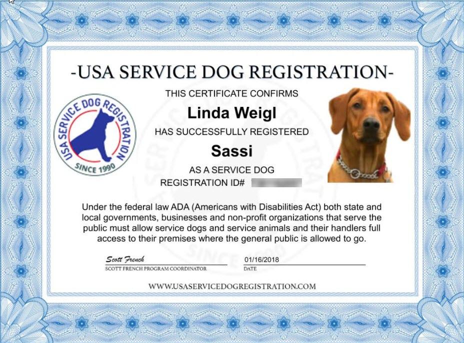 Service Dog Vest product image 5