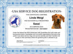 Service Dog Vest product image 5