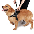 Service Dog Vest product image 7