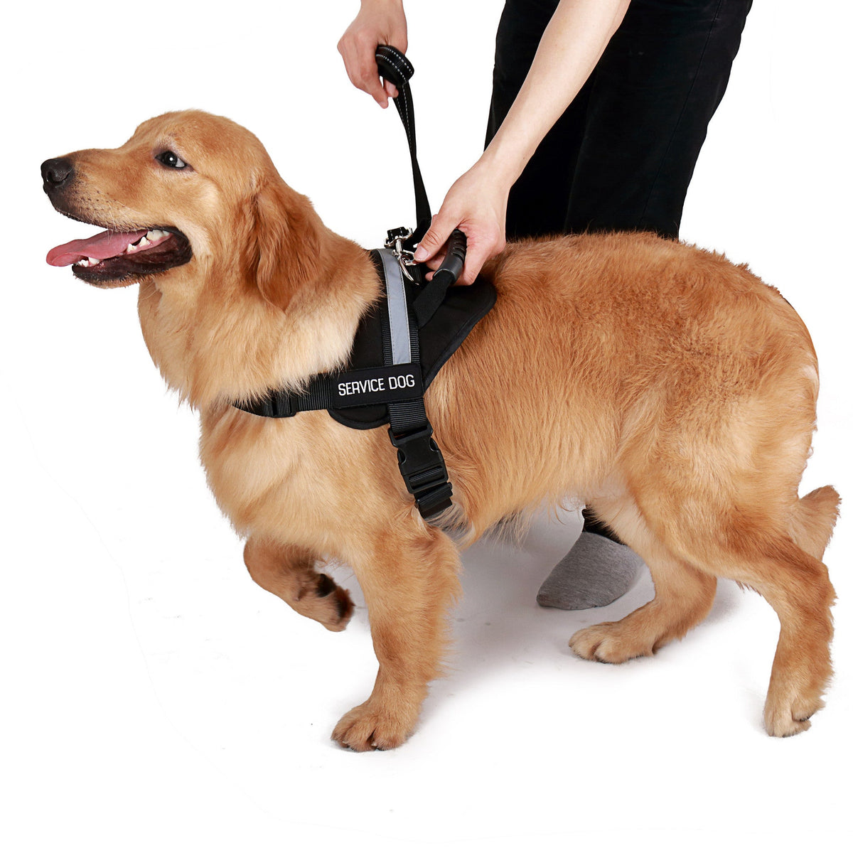 Service Dog Vest product image 7