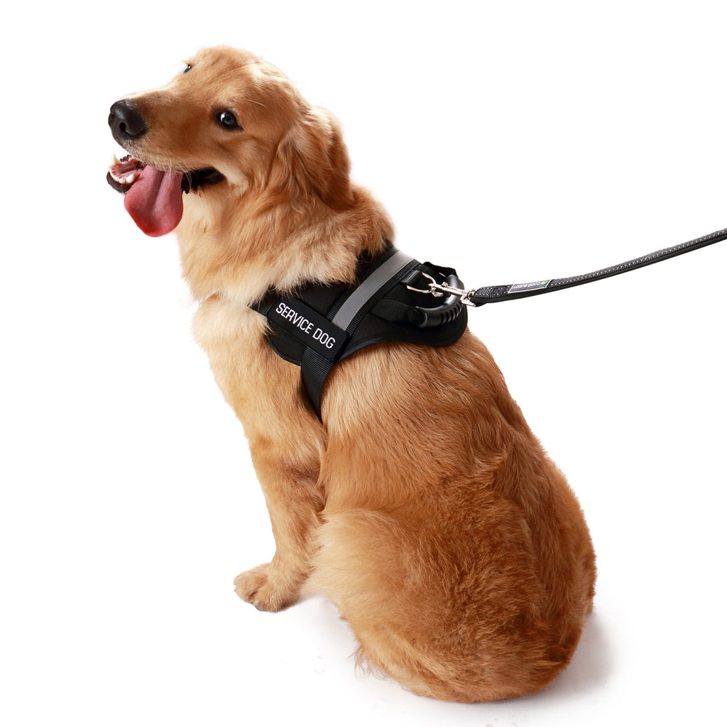 Service Dog Vest product image 10