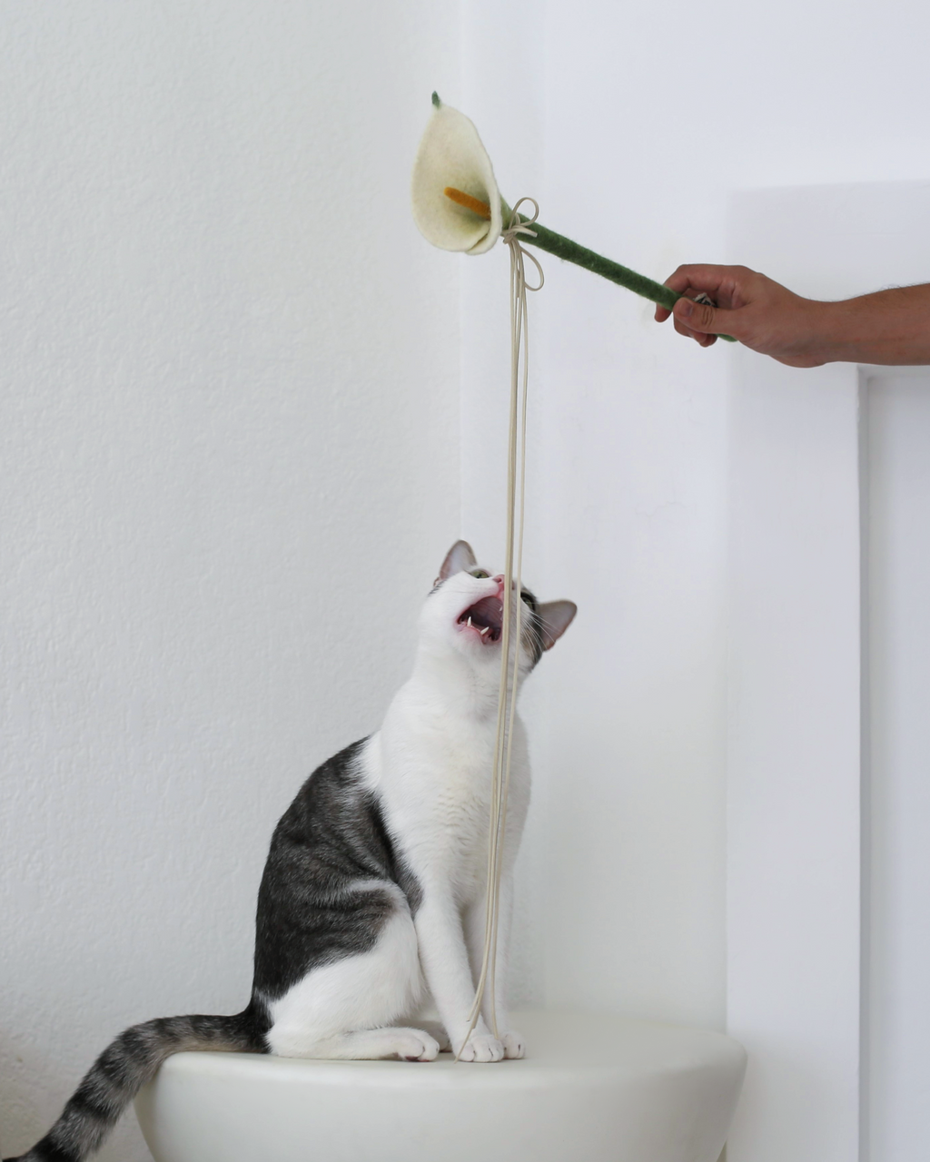 Cat Wand Toy product image 2