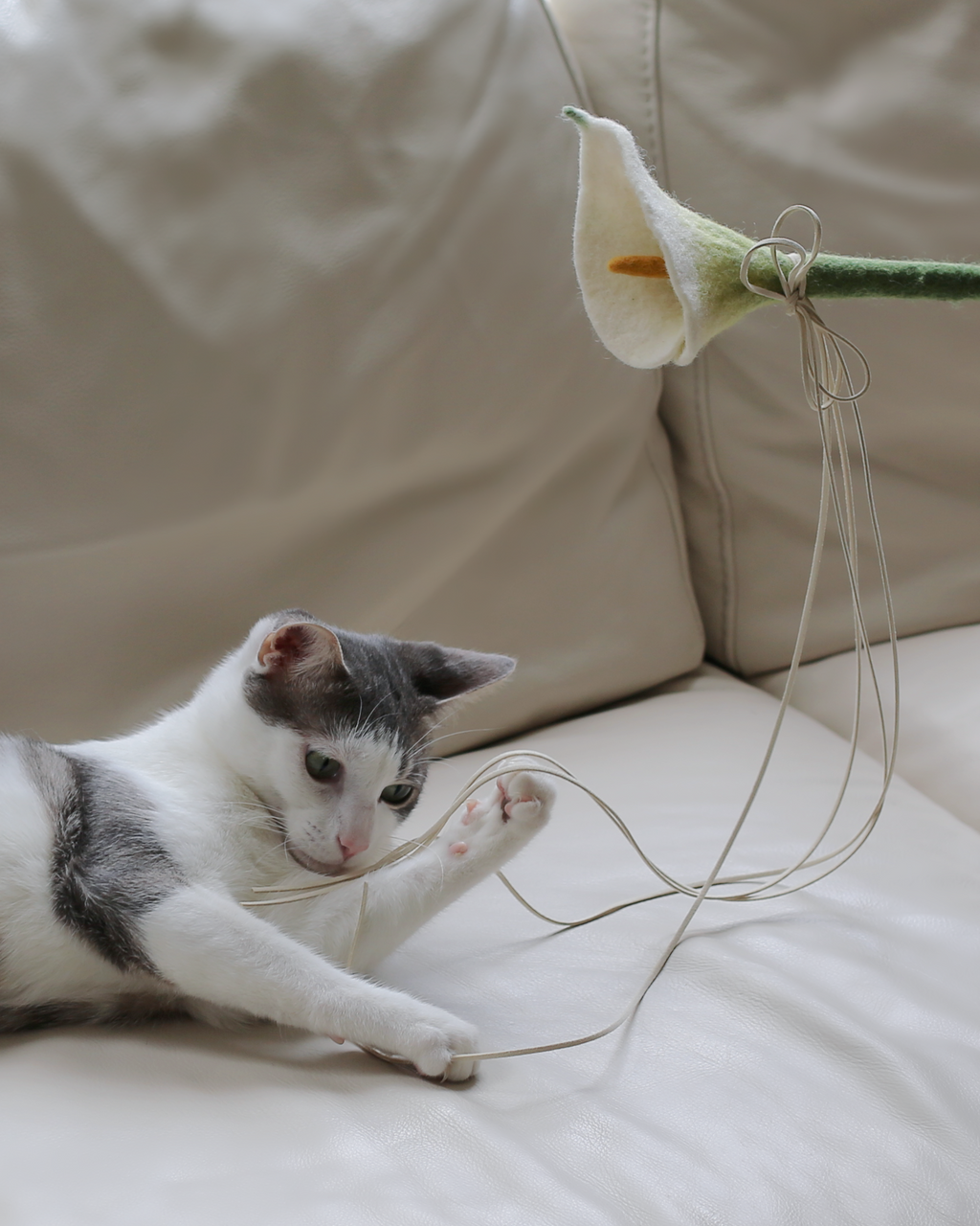 Cat Wand Toy product image 3