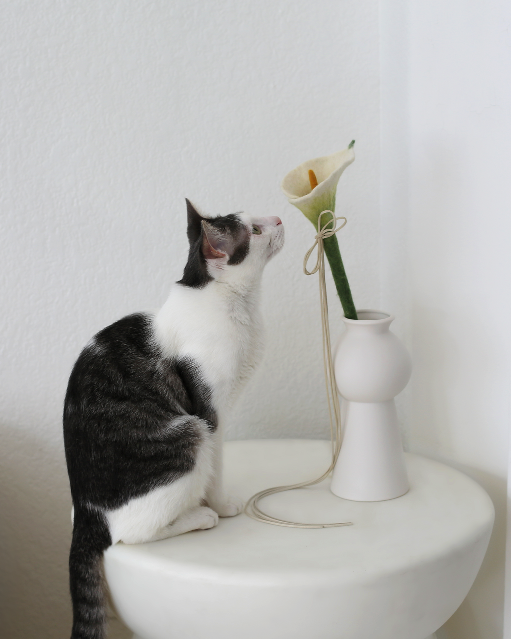 Cat Wand Toy product image 4