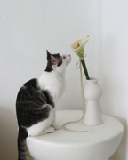 Cat Wand Toy product image 4