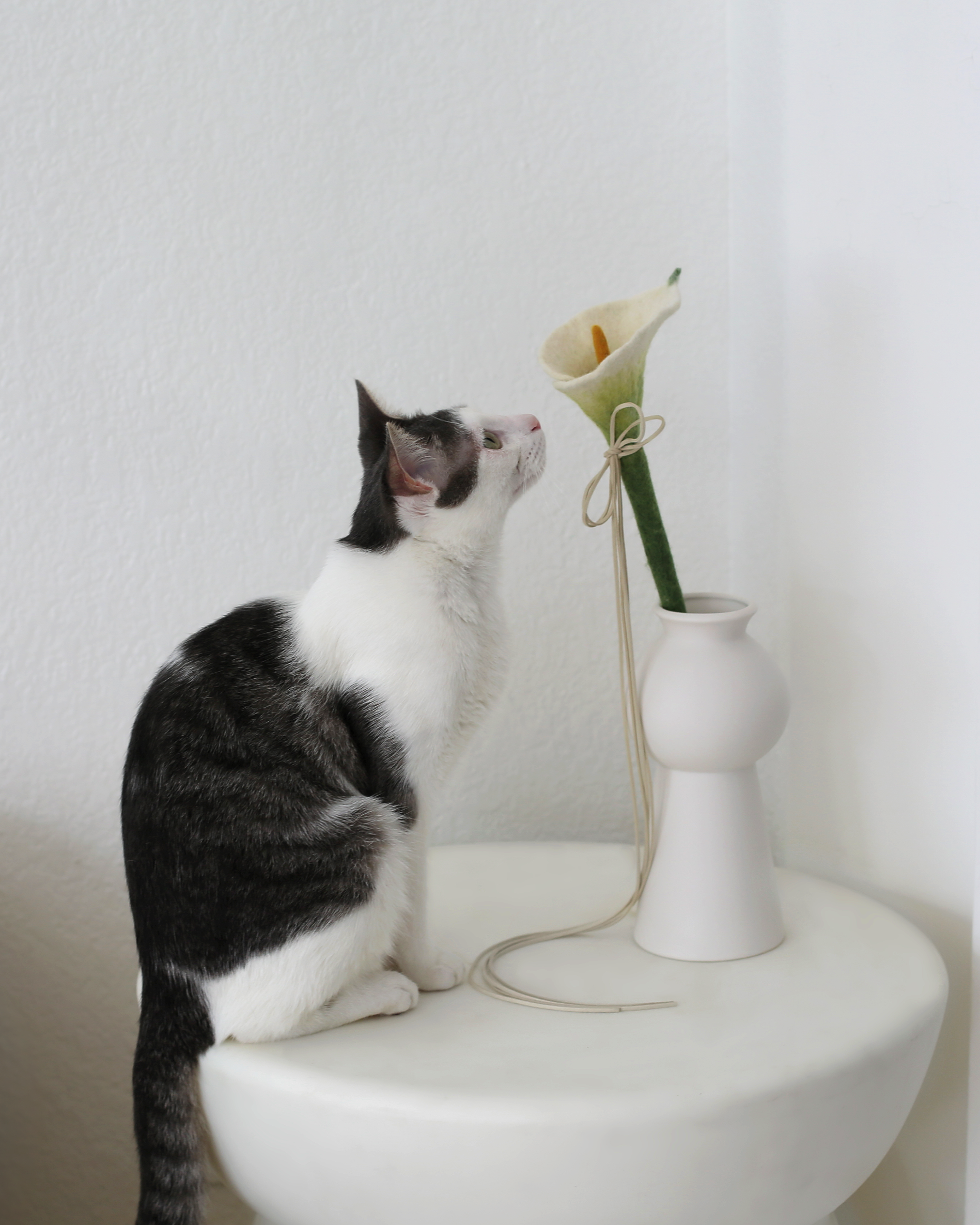 Cat Wand Toy product image 4