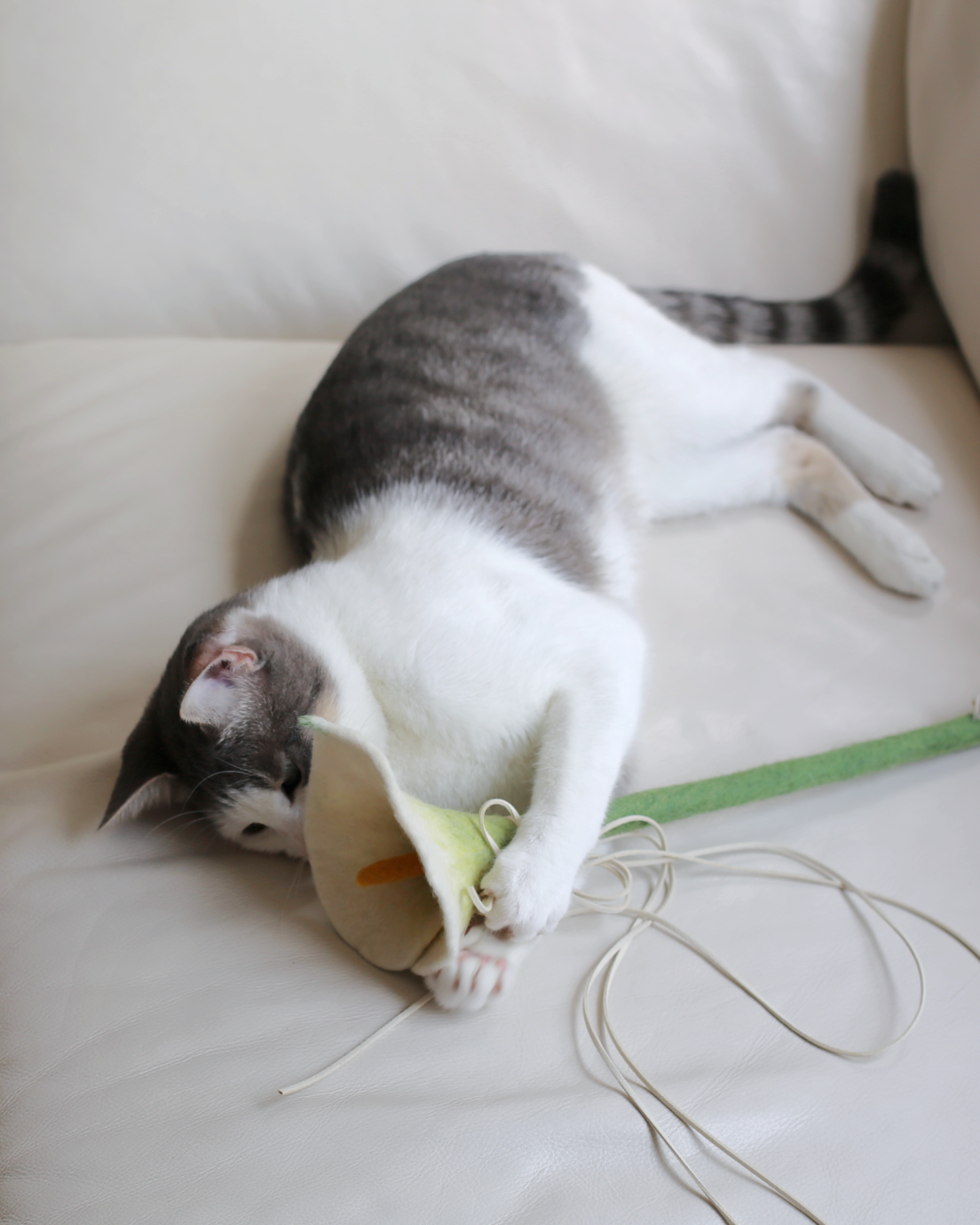 Cat Wand Toy product image 5