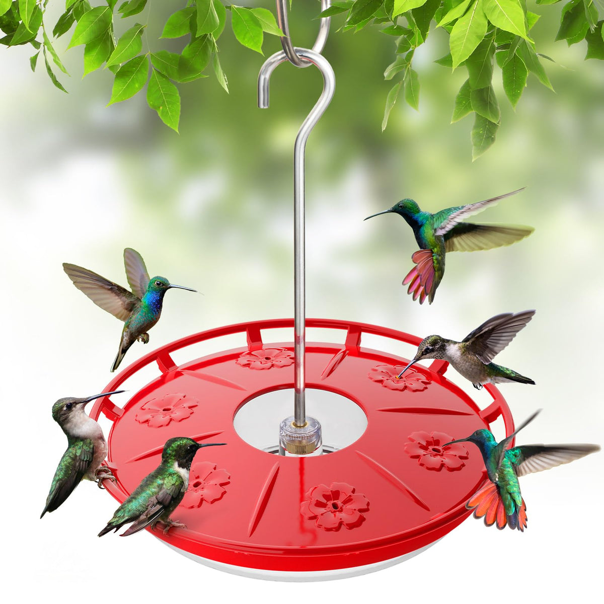 Saucer Hummingbird Feeder product image 1