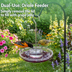 Saucer Hummingbird Feeder product image 5