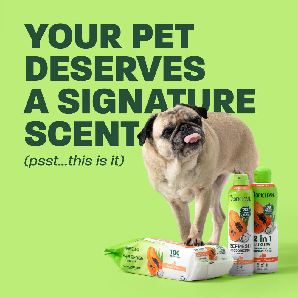 Pet Grooming Bundle product image 2