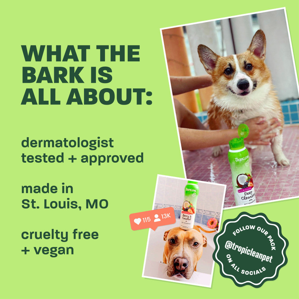 Pet Grooming Bundle product image 6