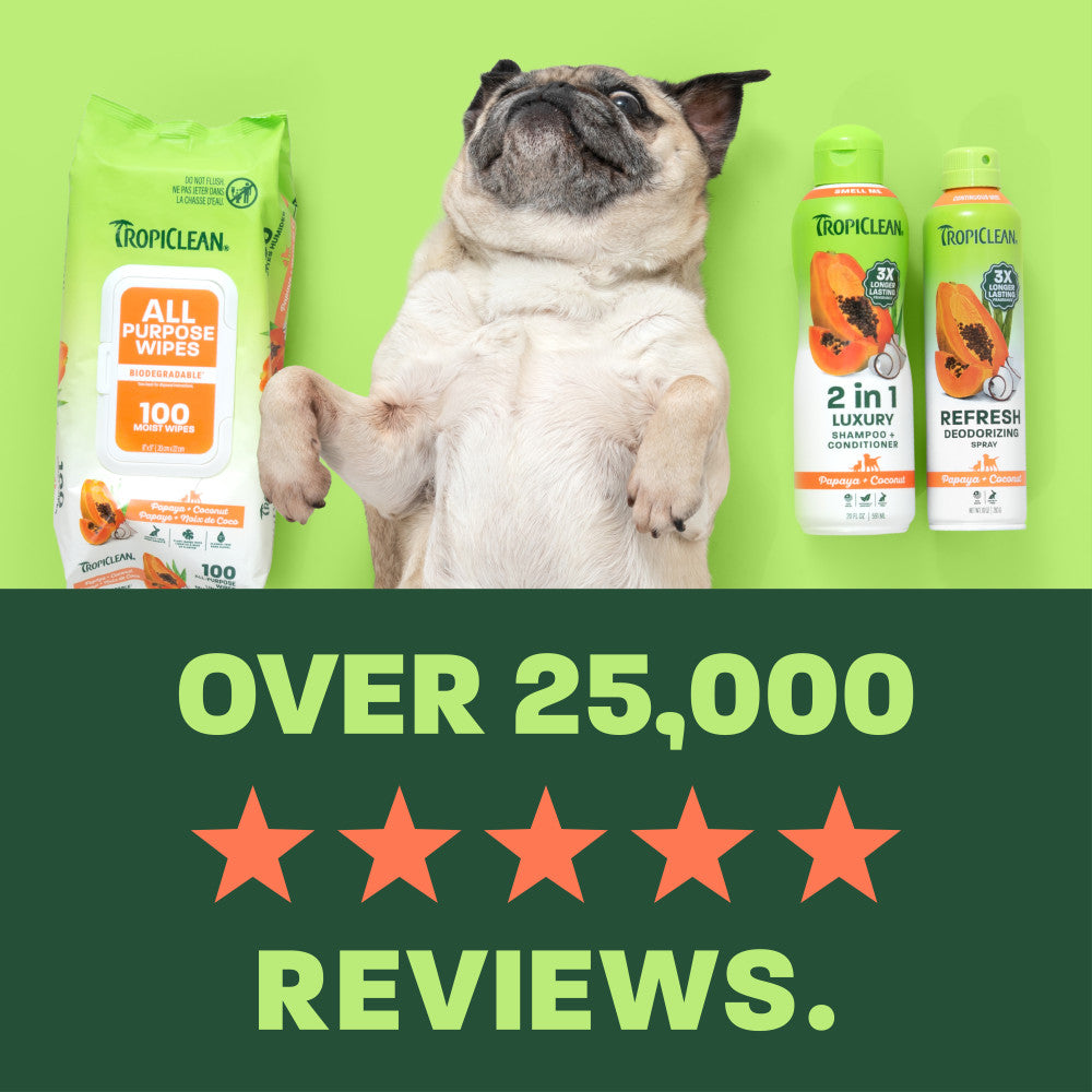 Pet Grooming Bundle product image 7