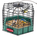 Squirrel-Proof Bird Feeder product image 1