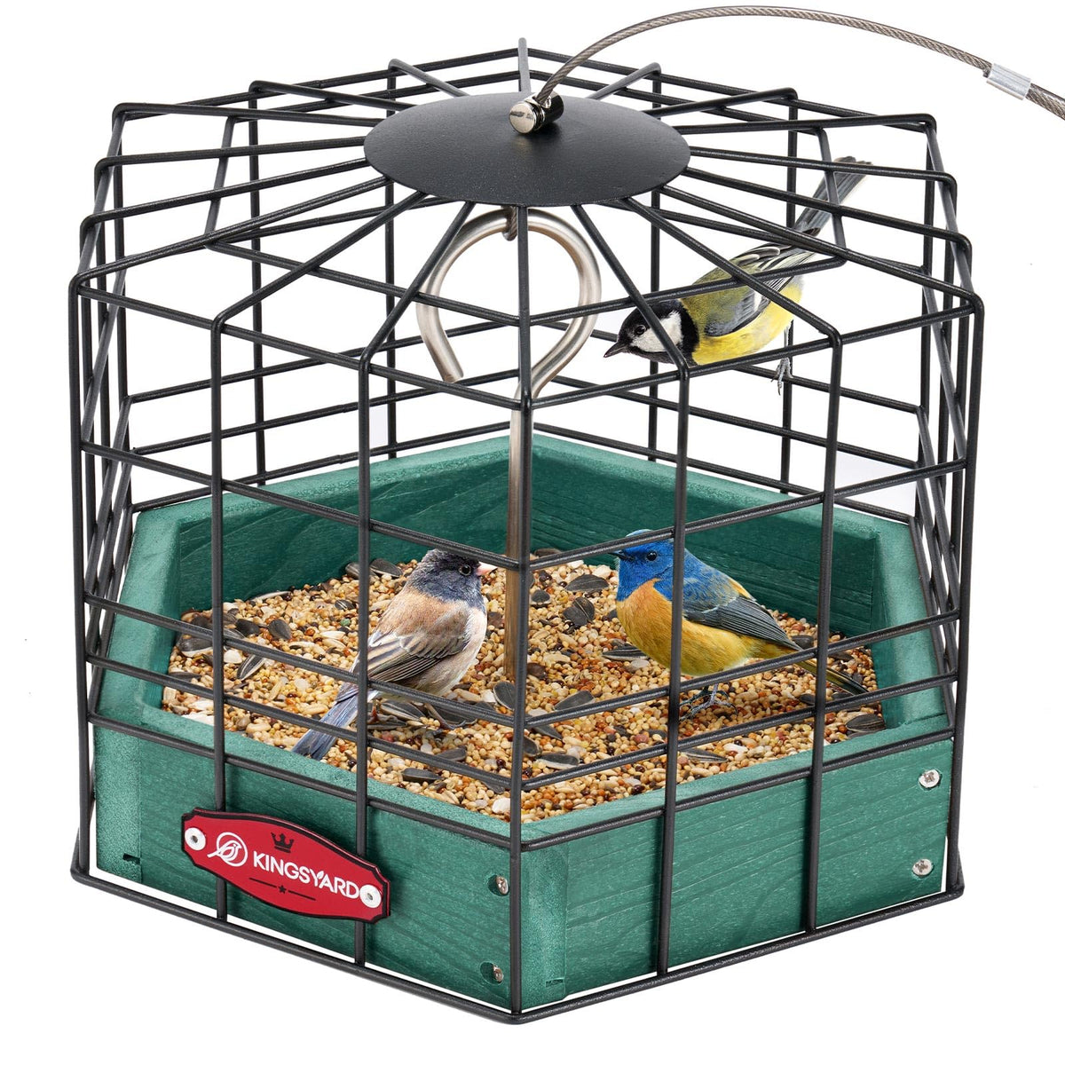 Squirrel-Proof Bird Feeder product image 1