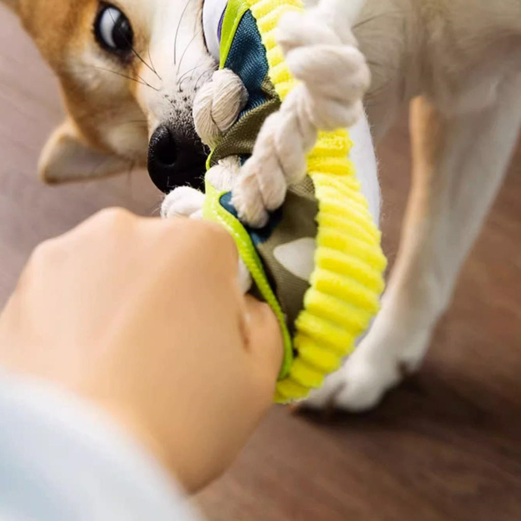 Squeaky Dog Toy product image 4
