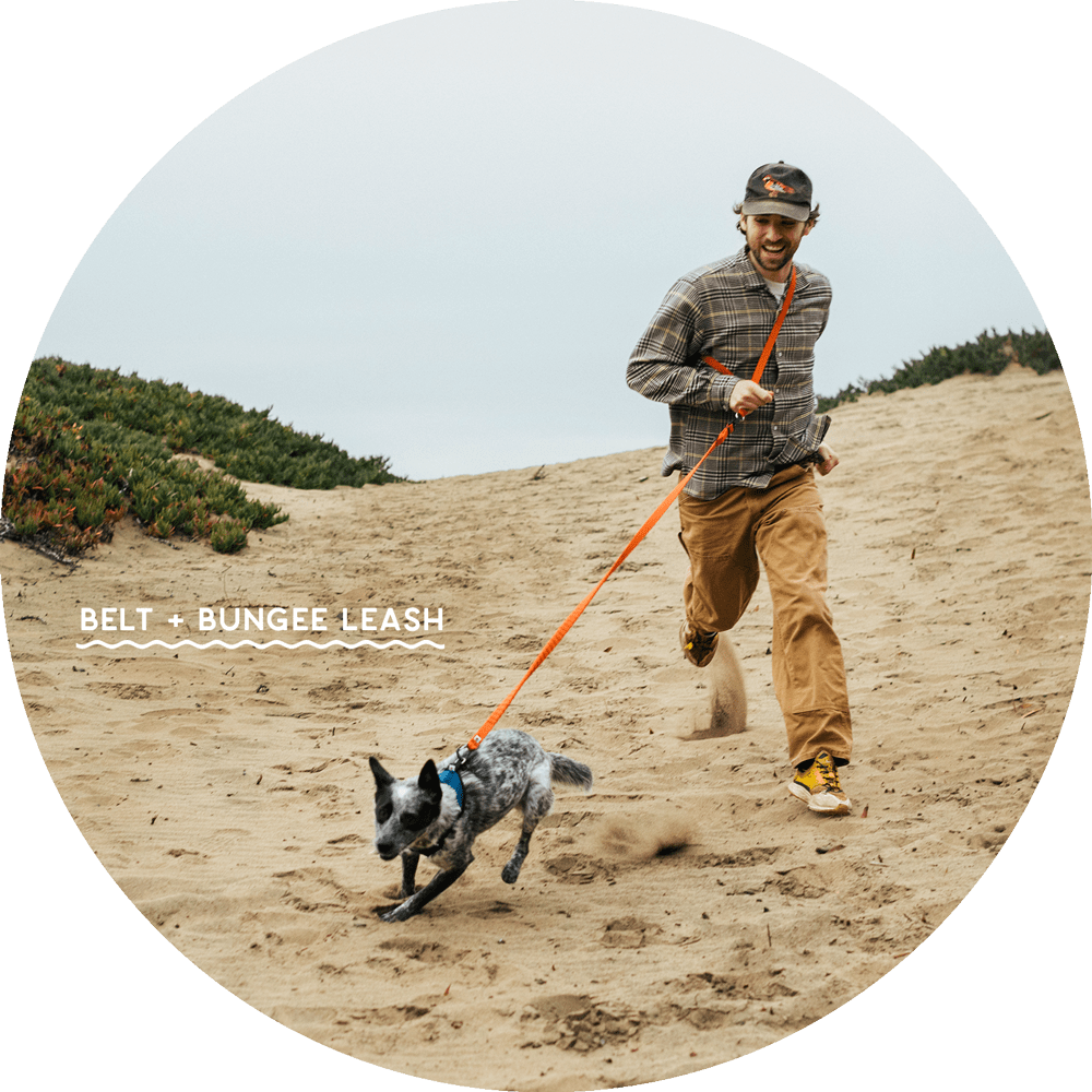 Hands-Free Leash Accessories product image 5
