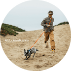 Hands-Free Leash Accessories product image 5