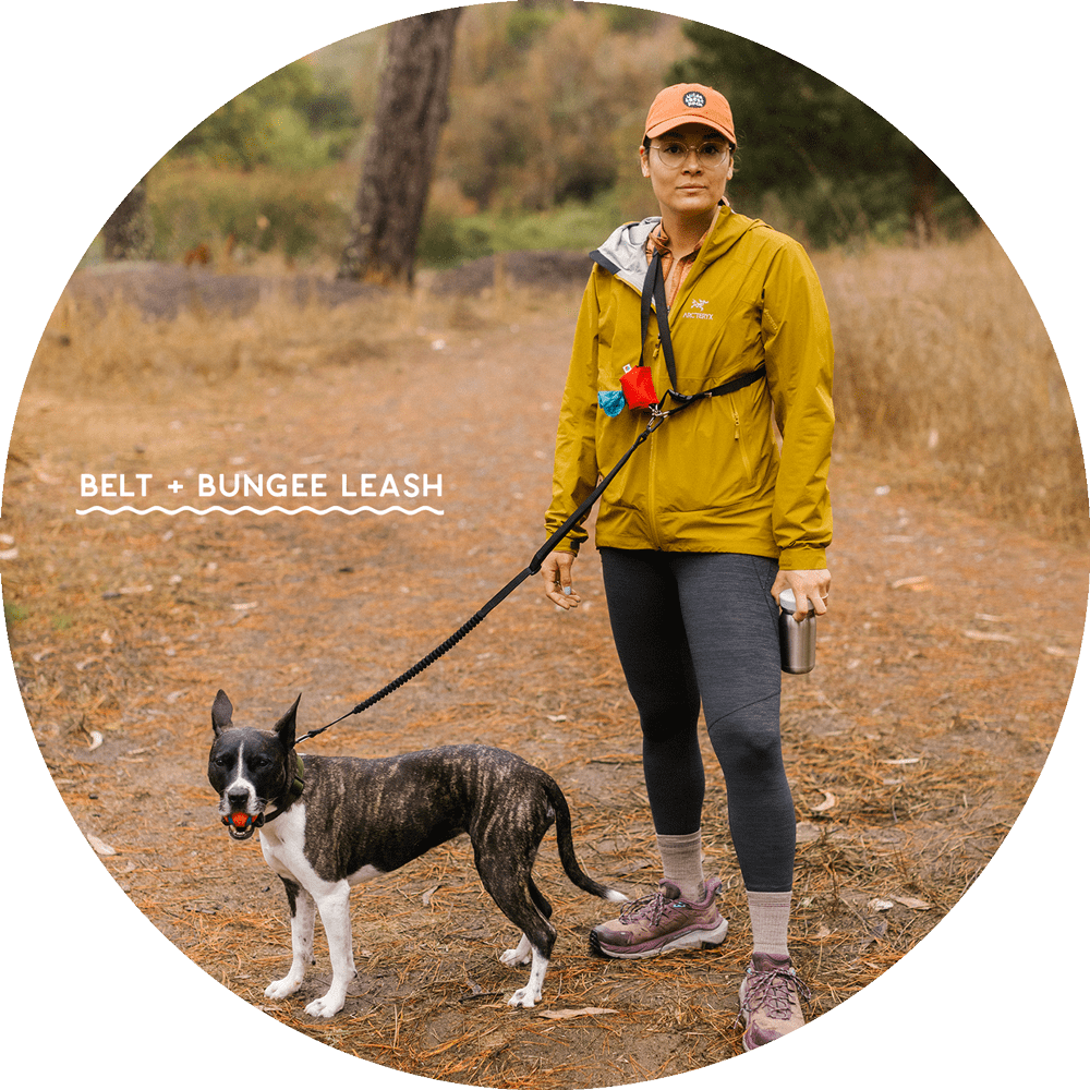 Hands-Free Leash Accessories product image 12