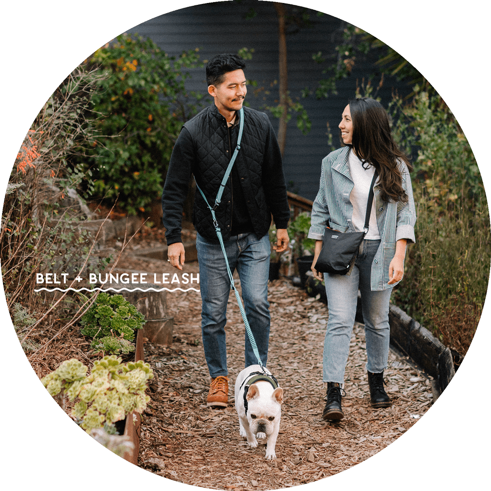 Hands-Free Leash Accessories product image 19