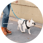 Hands-Free Leash Accessories product image 20