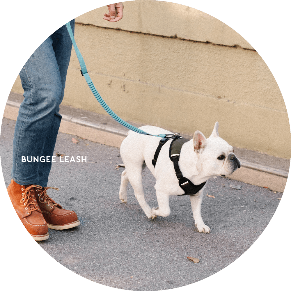 Hands-Free Leash Accessories product image 20