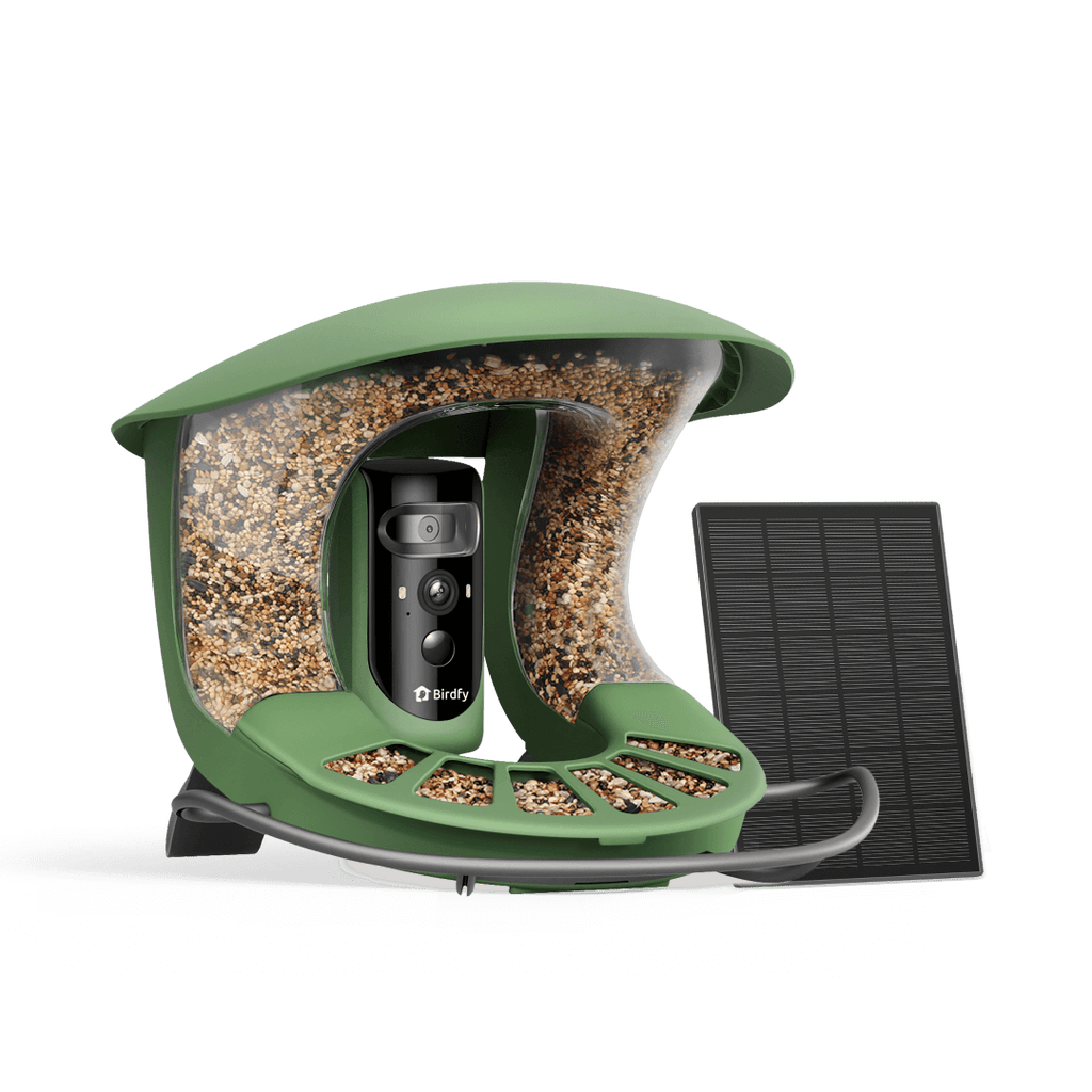 Bird Feeder Camera product image 1