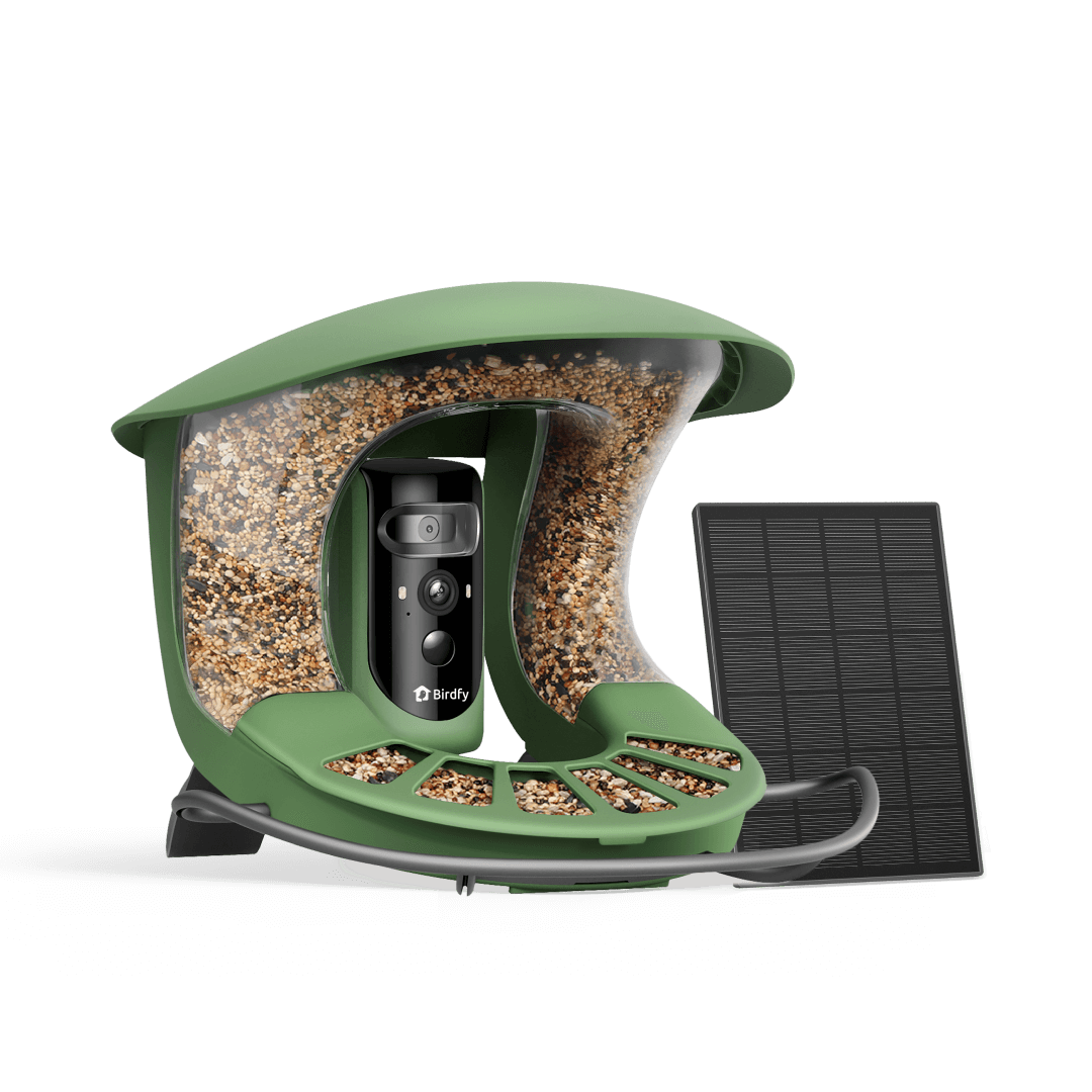 Bird Feeder Camera product image 1