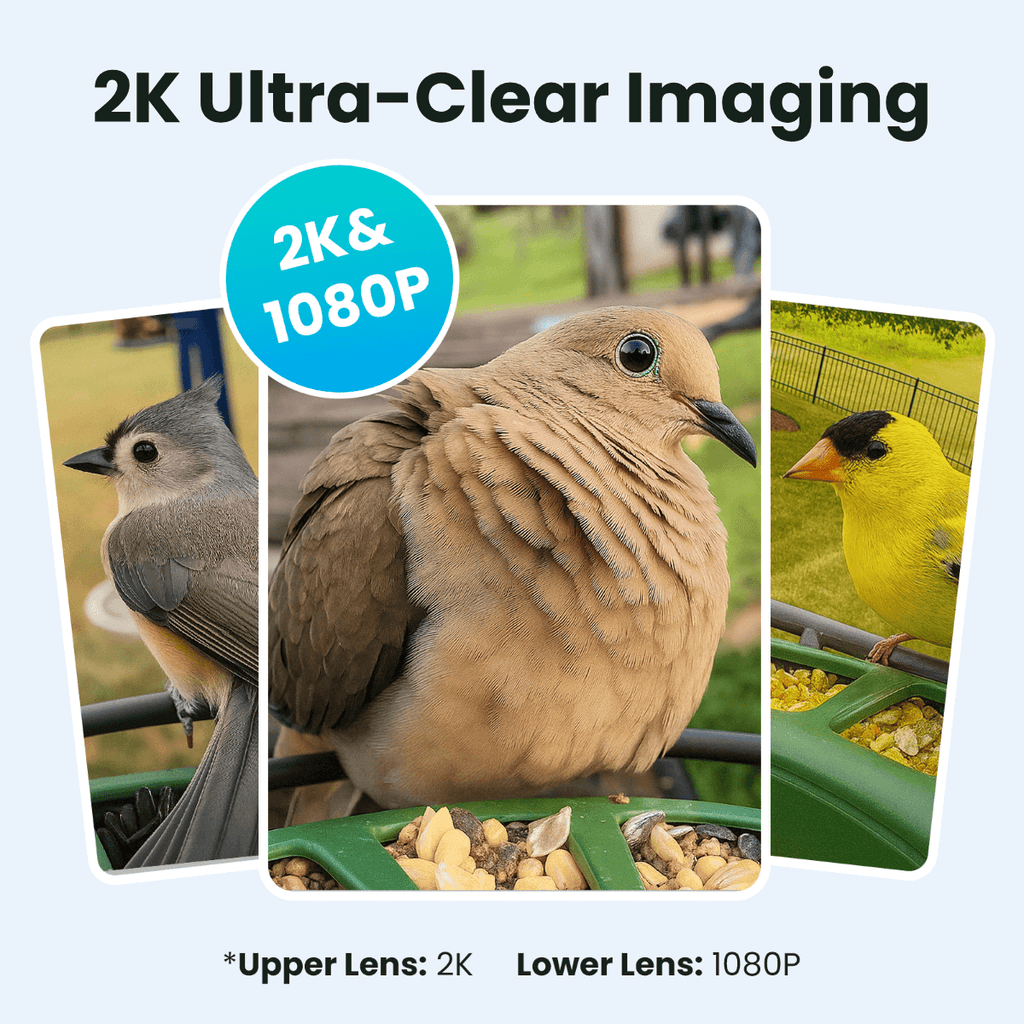 Bird Feeder Camera product image 4