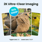 Bird Feeder Camera product image 4