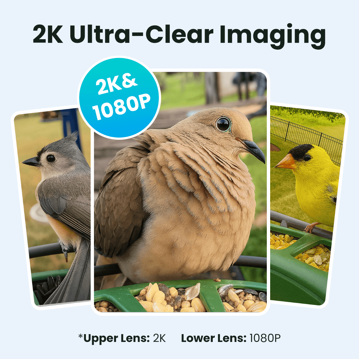 Bird Feeder Camera product image 4