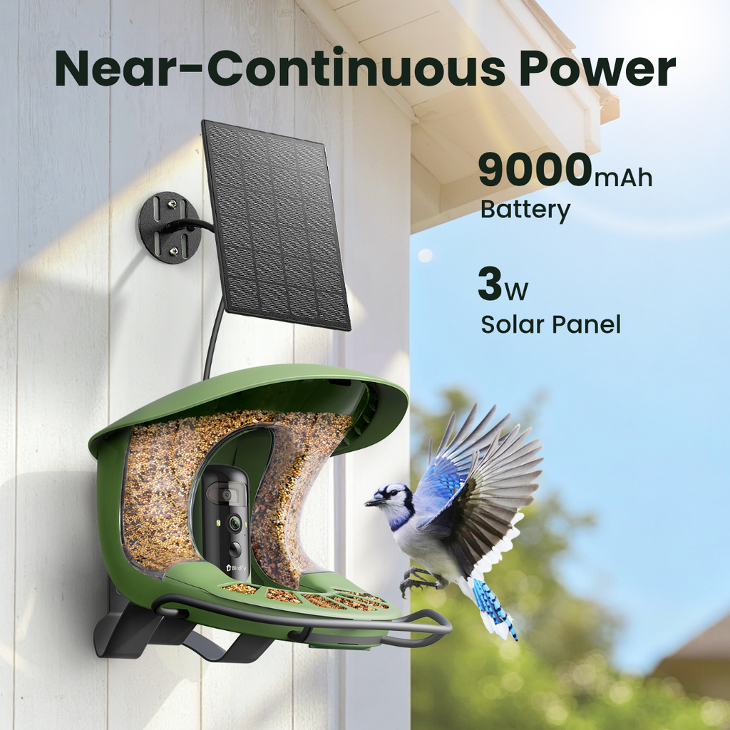 Bird Feeder Camera product image 9