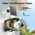 Bird Feeder Camera product image 9