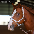 Nylon Horse Halter product image 1