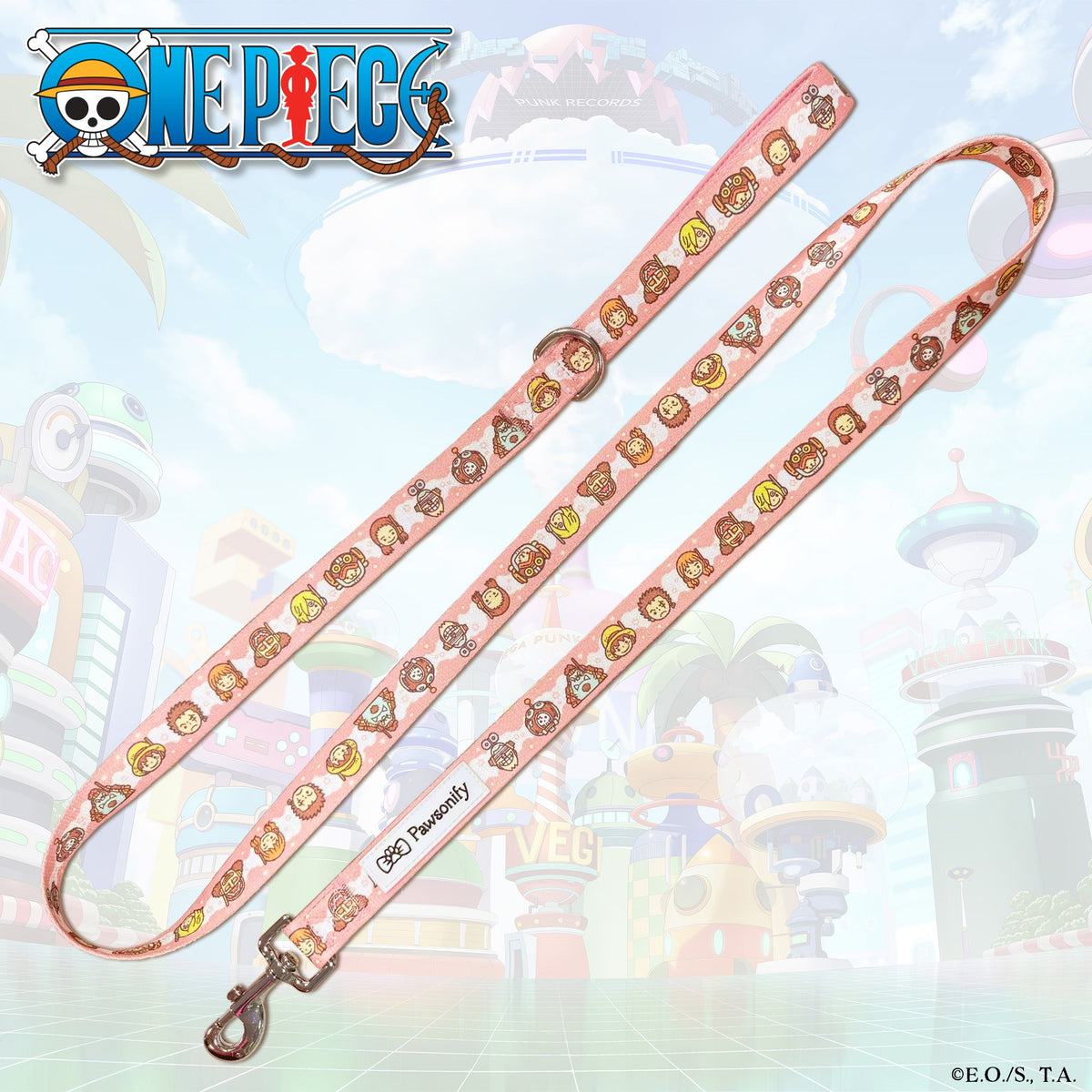 Pet Leash product image 1