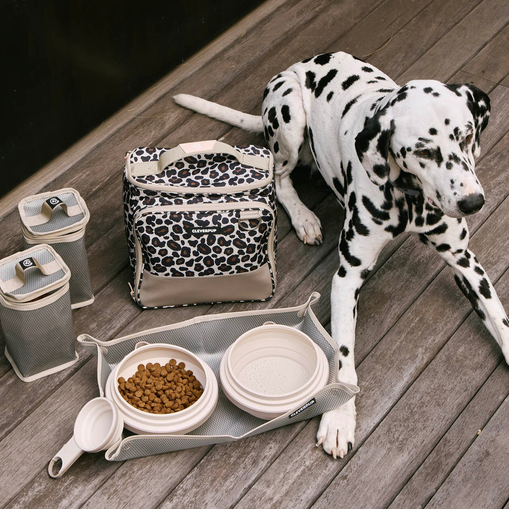 #color_leopard-large