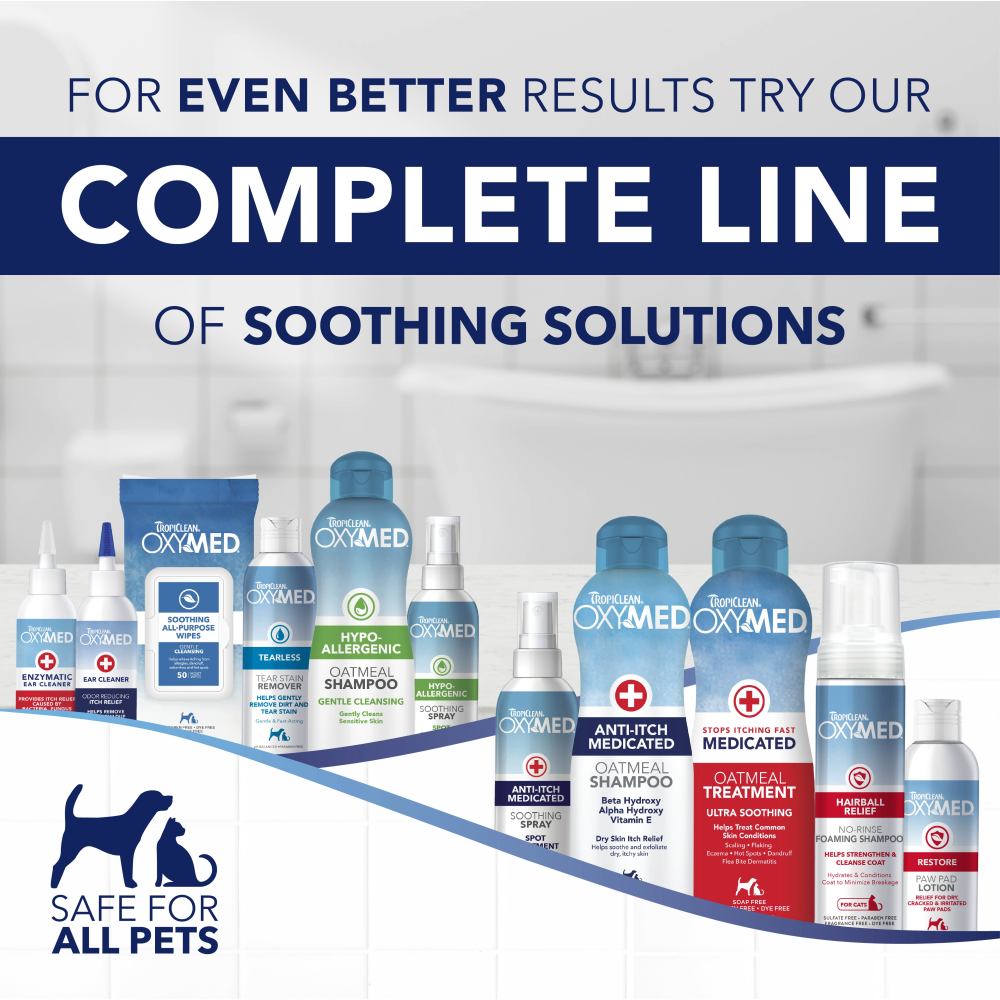 Medicated Pet Shampoo product image 10