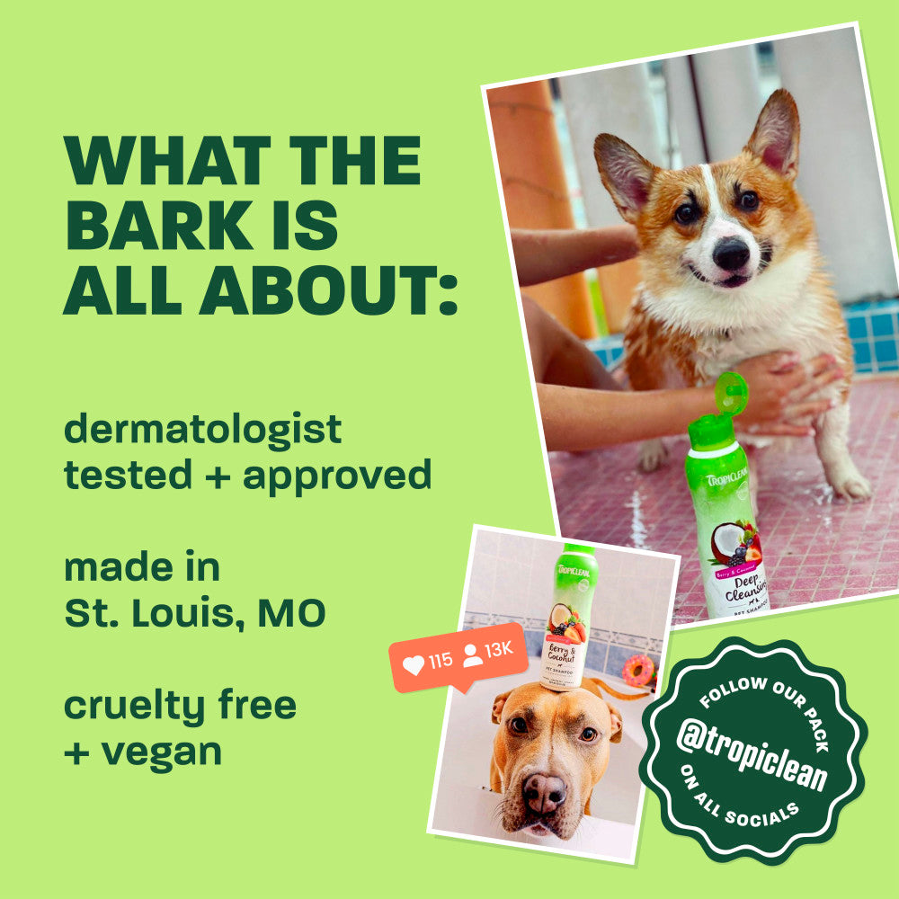 2-in-1 Pet Shampoo product image 6